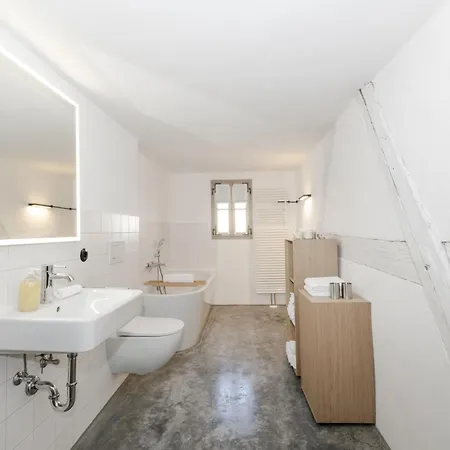 Muehlbachgasse 9 Apartament